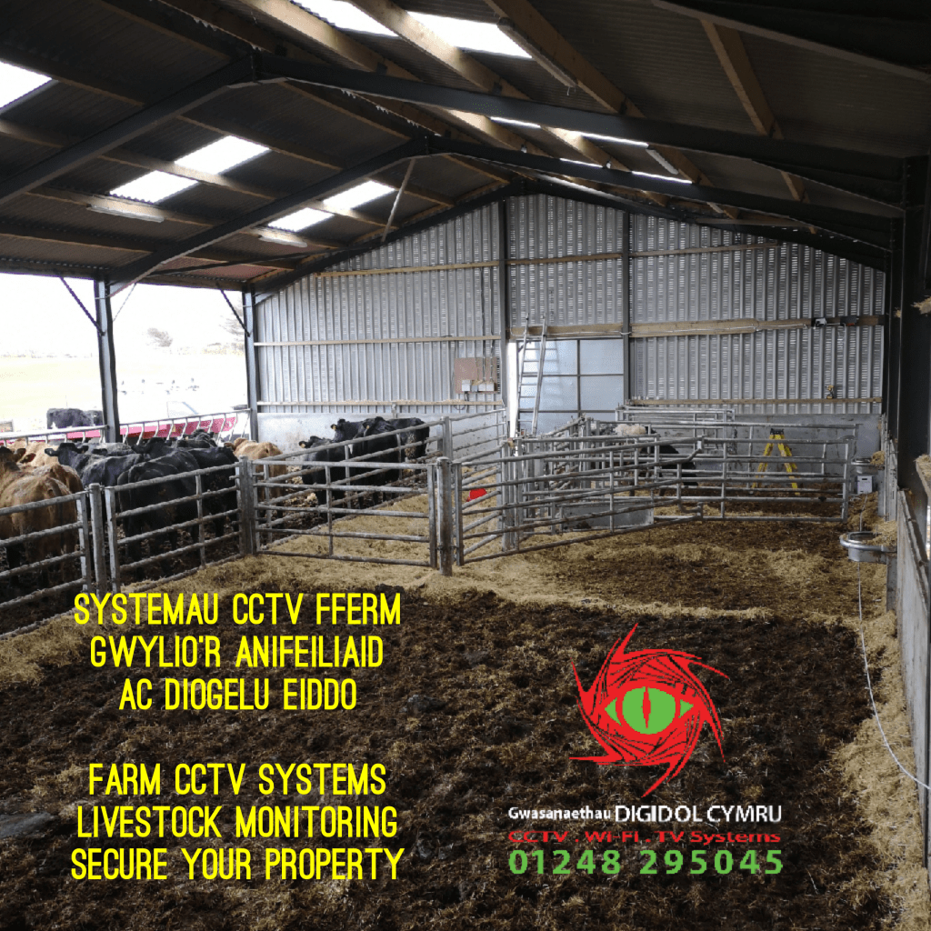 Agri cam, farm security, calving cctv, lambing