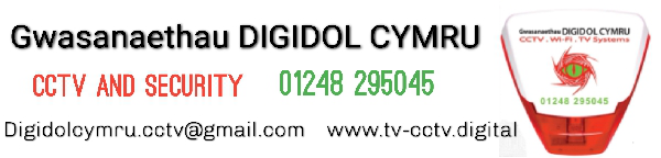 Digital Services Wales
